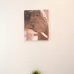 Séjour chez l'habitant Mmrent Elephant *