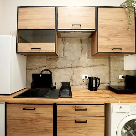 Mmrent Elephant Rum i privatbostad Gdańsk