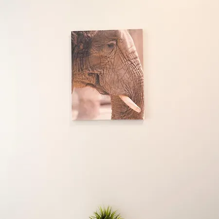 Kwatera prywatna Mmrent Elephant *