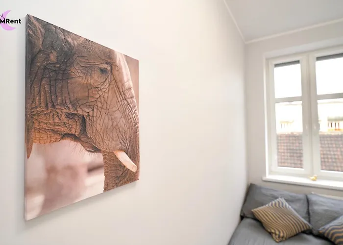 Mmrent Elephant * Gdańsk