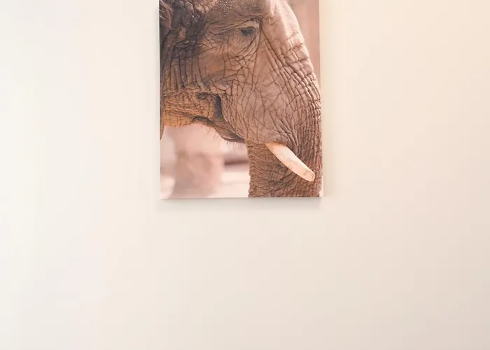 Quarto em Acomodações Particulares Mmrent Elephant *