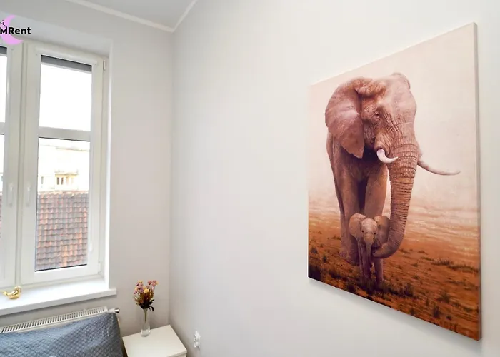 Quarto em Acomodações Particulares Mmrent Elephant *